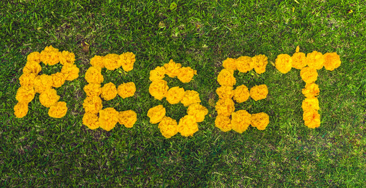 Wiosenny reset organizmu: 30-dniowy protokół regeneracji po zimie.